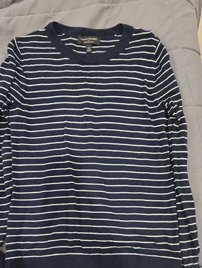 Banana Republic Navy and White Striped Crewneck Sweater
